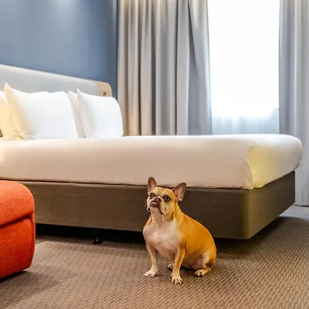 Ibis Styles Bordeaux 3* Лормон